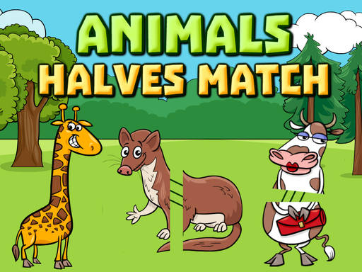 Animals Halves Match img